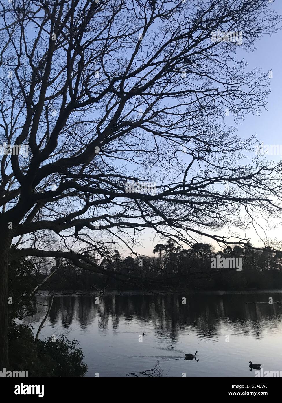 Lac d’hiver - Image de stock capturée avec un smartphone