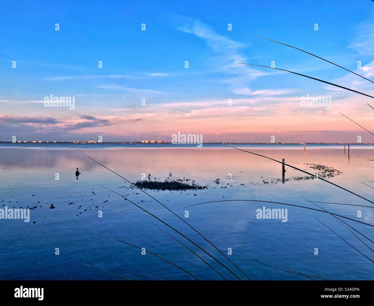 Sarasota Bay en Floride, États-Unis - Image de stock capturée avec un smartphone