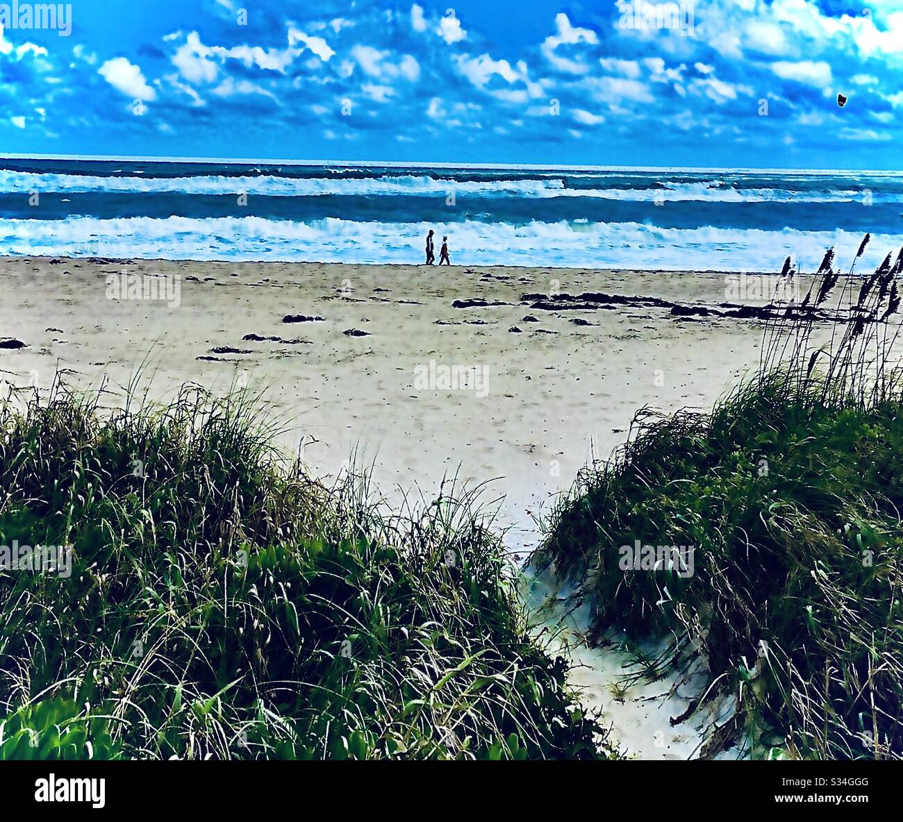 Palm Beach Banque D'Images