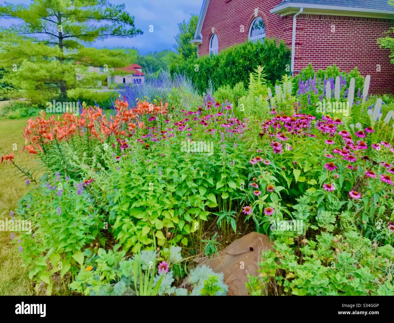 Jardin d'été tigre lilas liatris et coneflower Banque D'Images