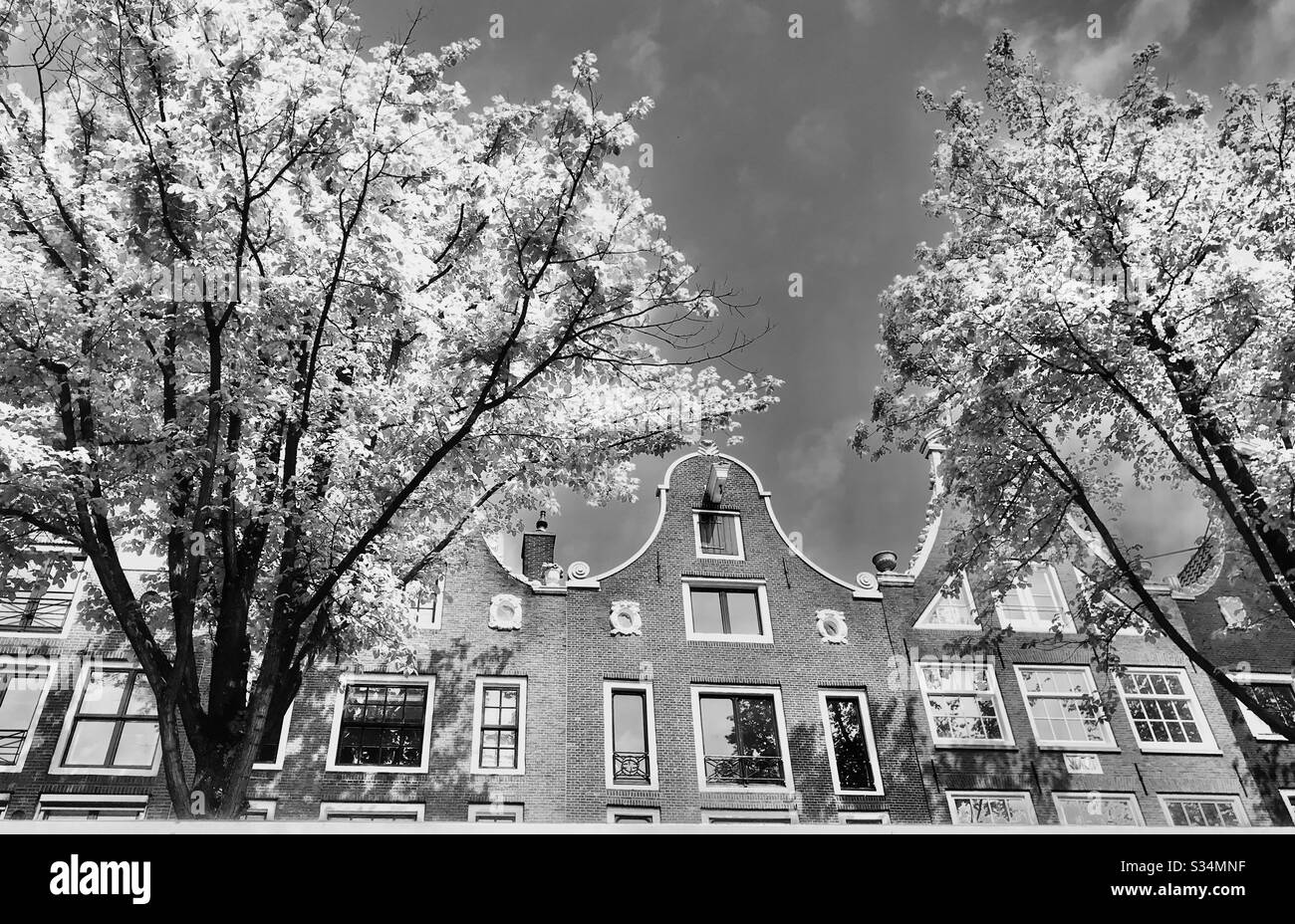 Scène d'Amsterdam en noir et blanc - Image de stock capturée avec un smartphone