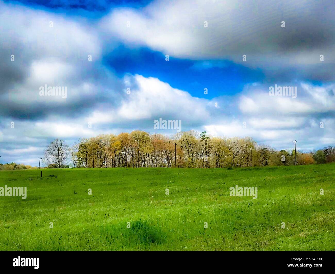 Paysage de rêve au début du printemps en Caroline du Nord Banque D'Images