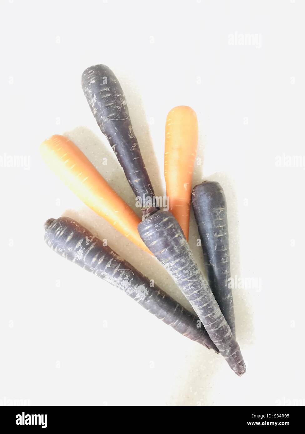 Purpetts, carottes violettes brutes disposées avec des carottes oranges riches en antioxydants, anti-inflammatoires et anti-microbiens-légumes parfaits pour la fabrication de salades et en-cas rapide pour les enfants, légumes racines Banque D'Images