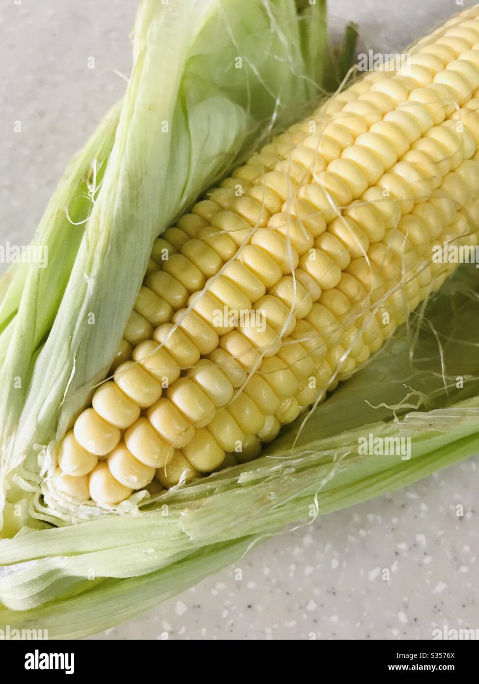 Maïs sur l'épi en balles, image de maïs frais brut, maïs, Zea mays, Corn détail, gousses de maïs en mode noir et blanc - Singapour Banque D'Images