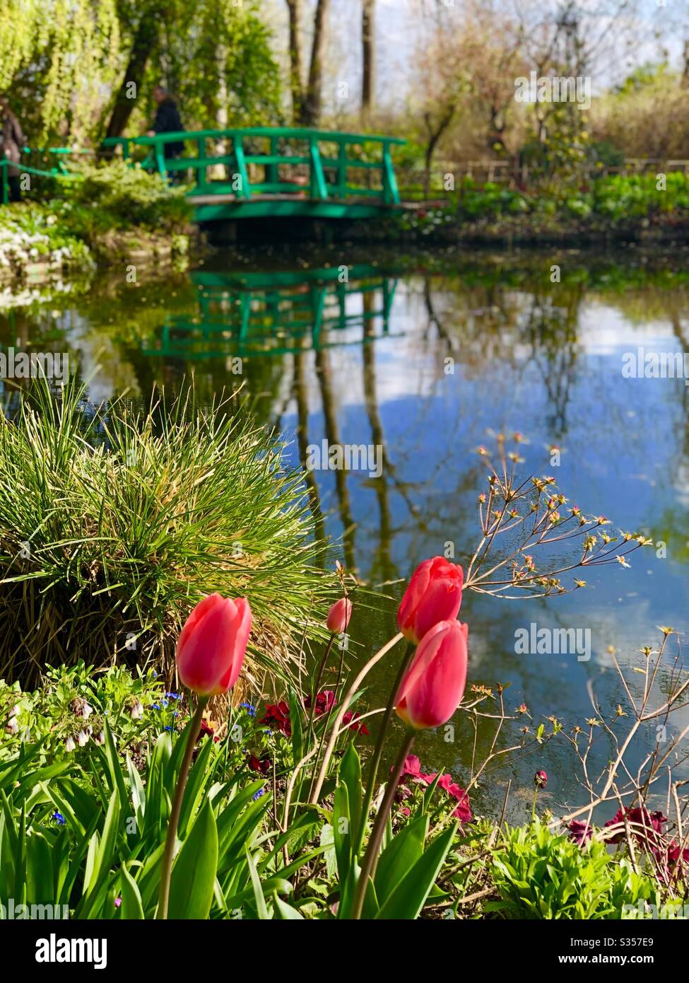 « le jardin de Monet » Banque D'Images