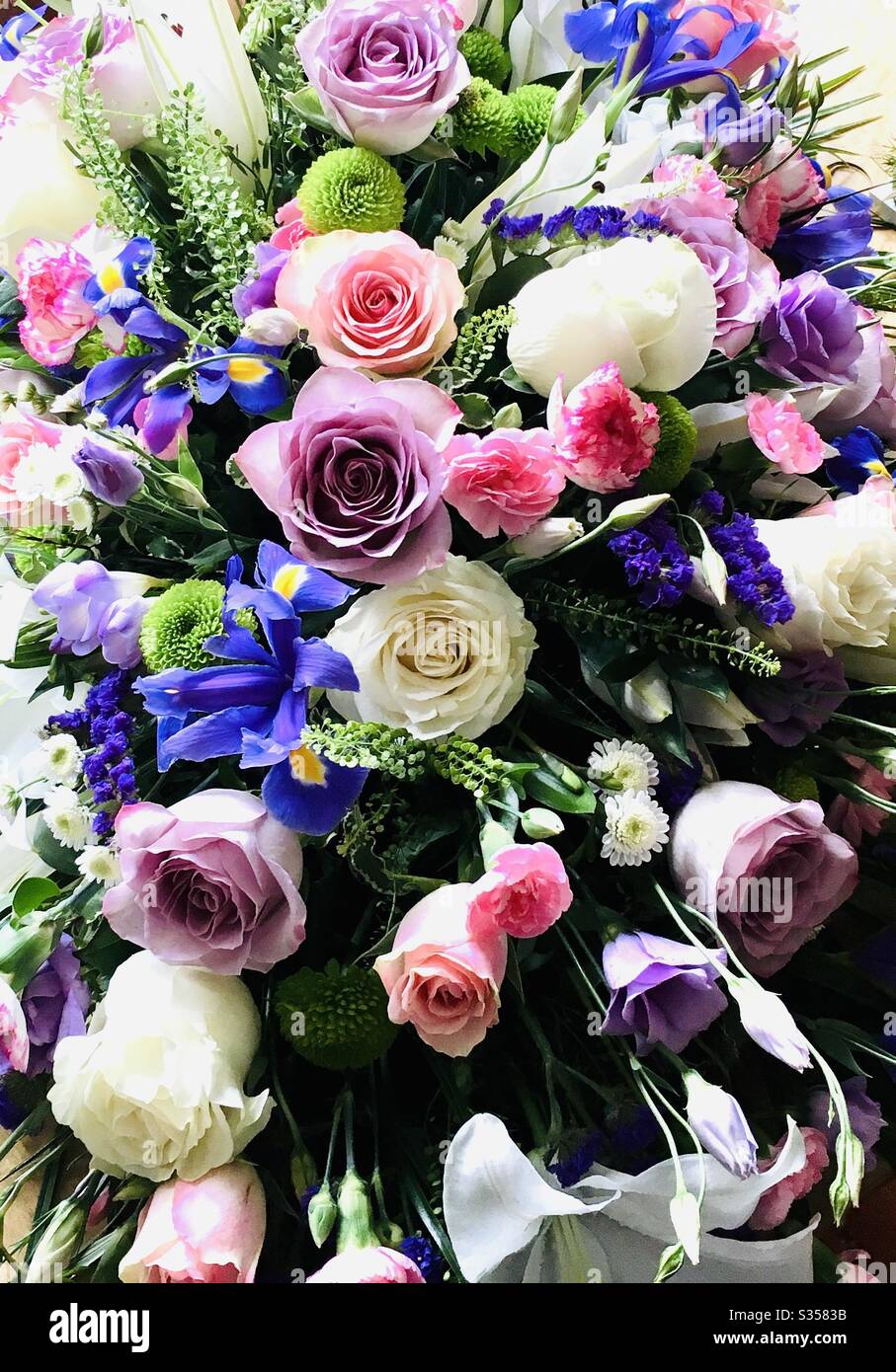 Affichage de belles fleurs Banque D'Images