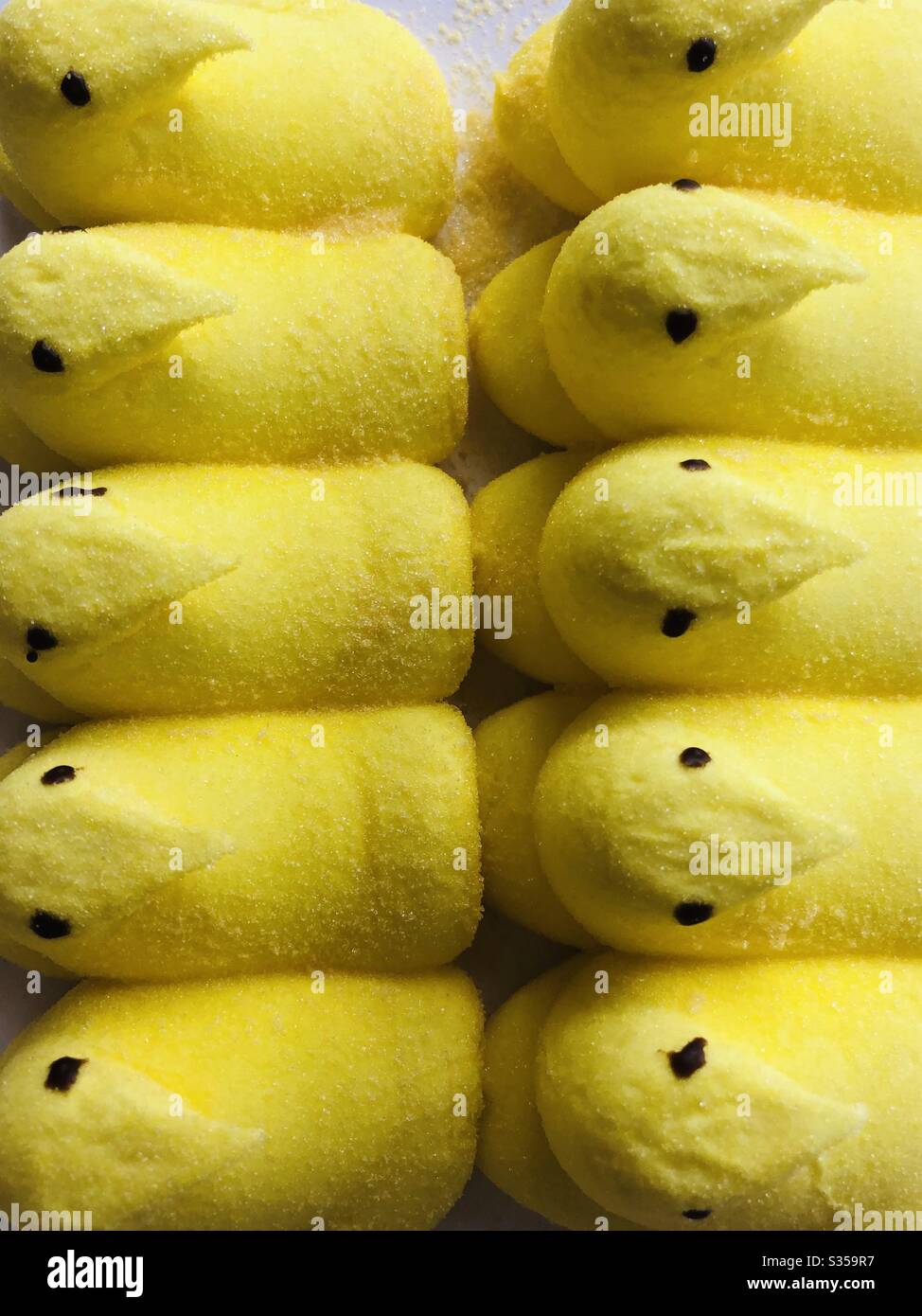 Guimauve jaune peeps Banque D'Images