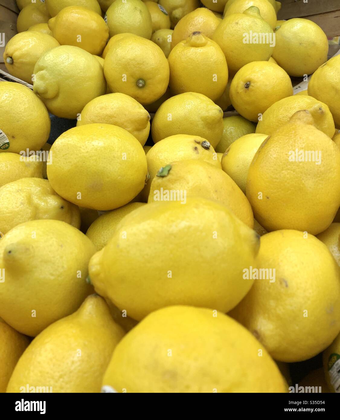 Citrons, entassés dans le panier, frais, fruits, sains, nutritionnels, de nombreuses utilisations, recettes, proximité, shopping, marchés, angle de hausse Banque D'Images