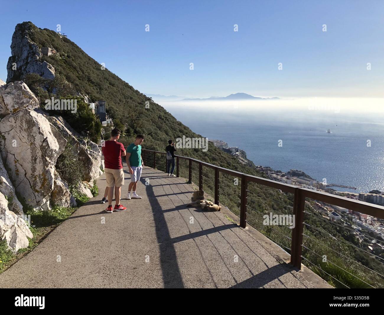 Touristes et singes dans la réserve naturelle de Upper Rock à Gibraltar Banque D'Images