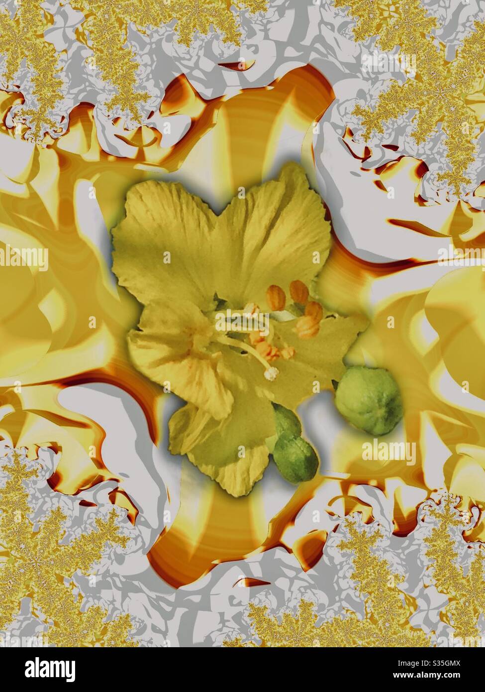 Art abstrait, art numérique, combinaison, photo de fleur, design numérique, fractal, centré sur la fleur, couleur dominante jaune, créé, créatif, créativité Banque D'Images