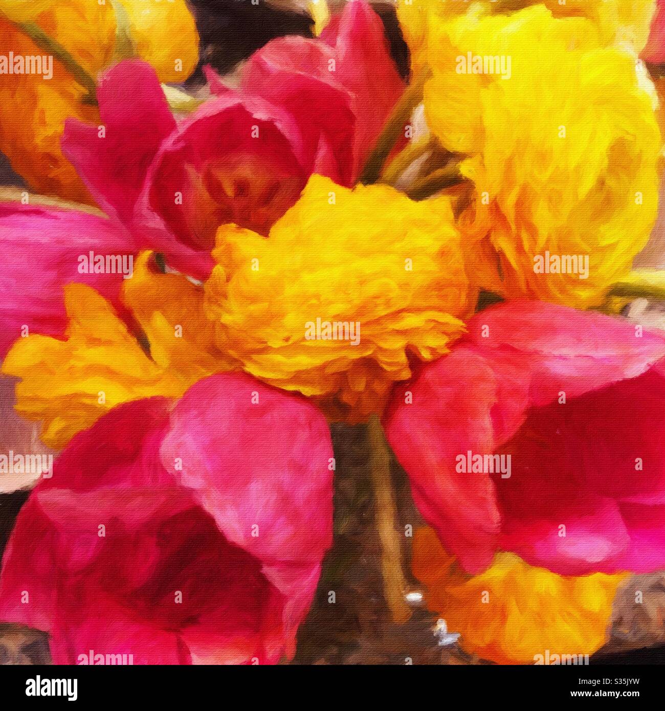 Bouquet de fleurs roses et jaunes avec tulipes et roses. Banque D'Images