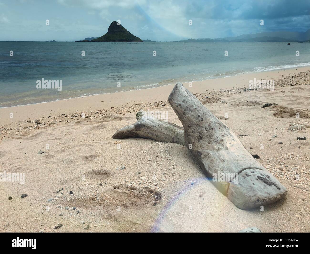 Chapeau de Chinaman dans le parc de la plage de Kualoa Kaneohe à Hawaï Banque D'Images