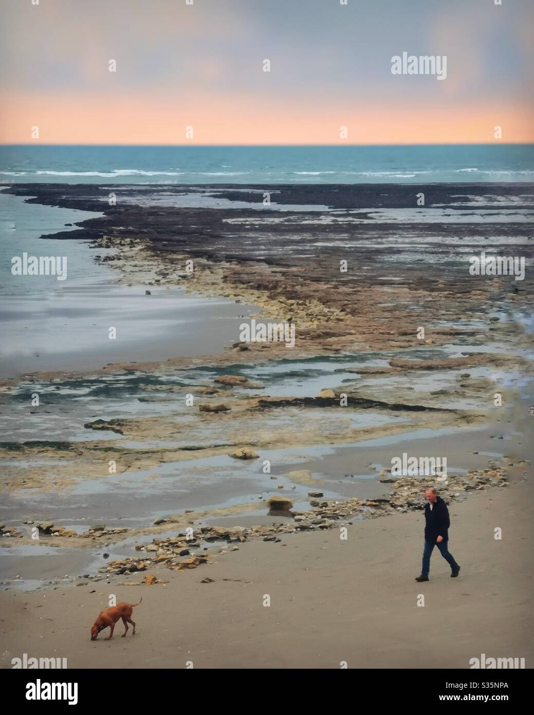 Man Walking dog on beach Banque D'Images