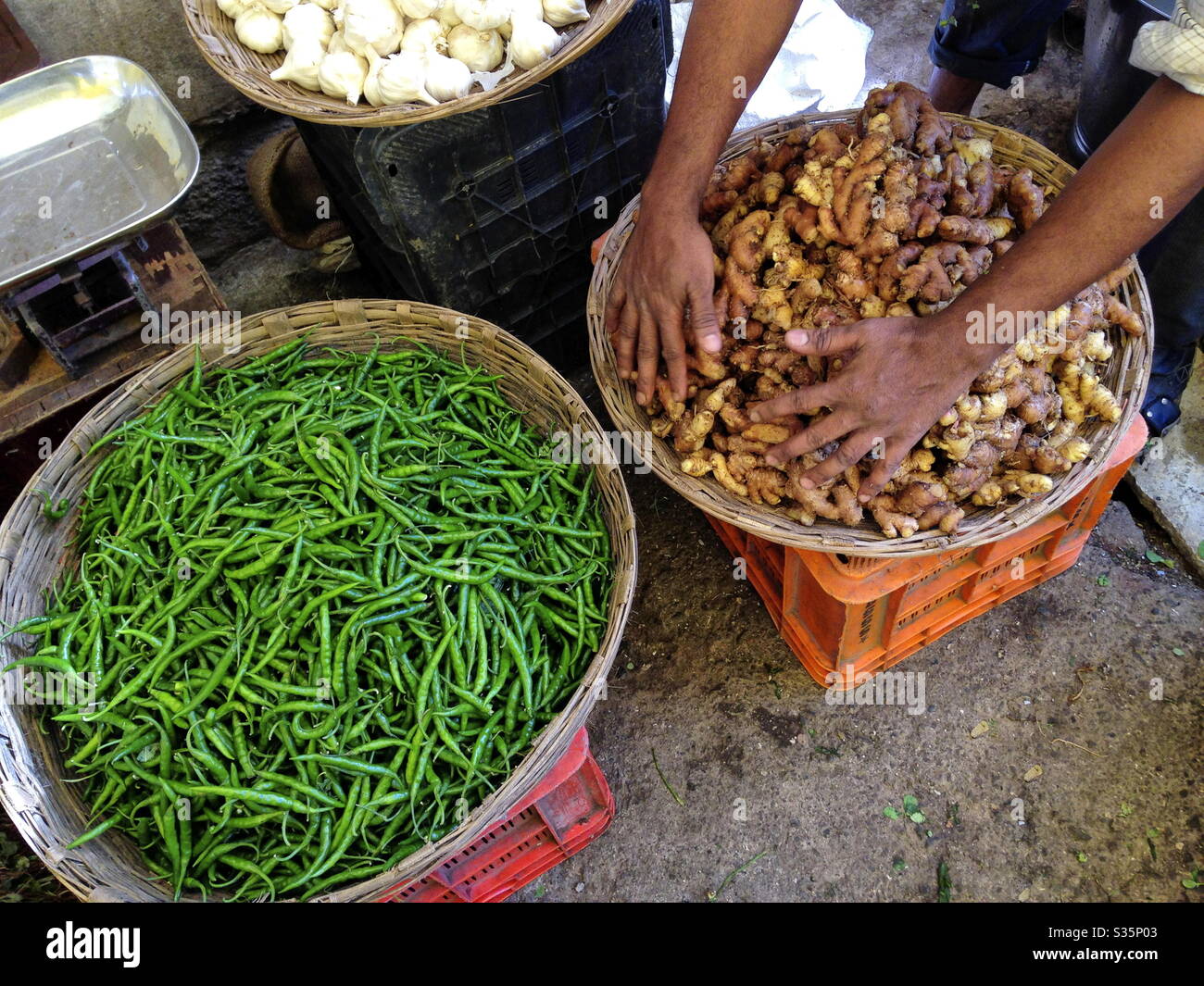 Un vendeur qui trient des piments frais et du gingembre sur le marché des légumes à Pune, en Inde. Banque D'Images