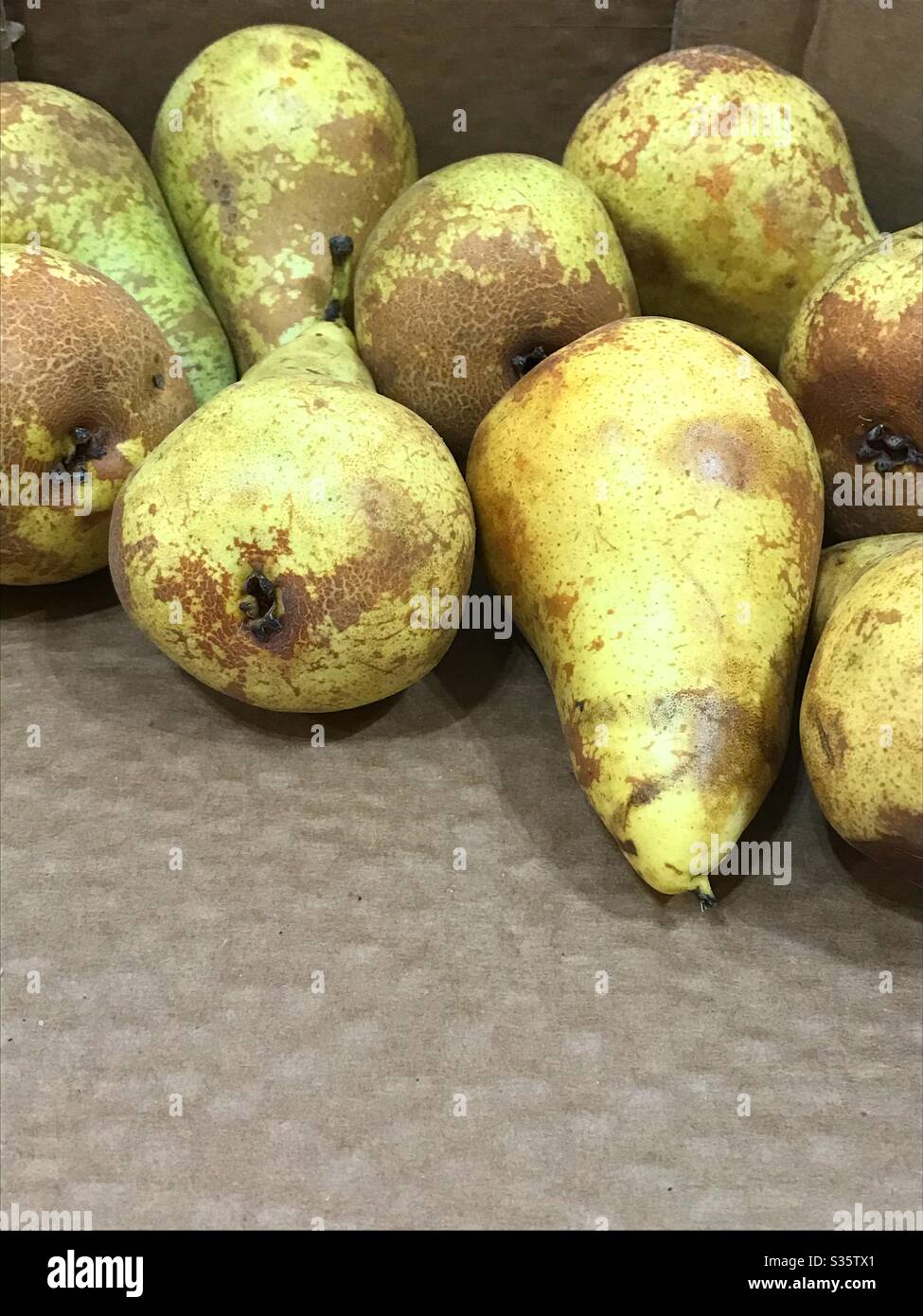 Poires - Image de stock capturée avec un smartphone