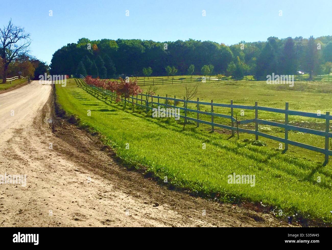 Route de campagne au Michigan en automne Banque D'Images