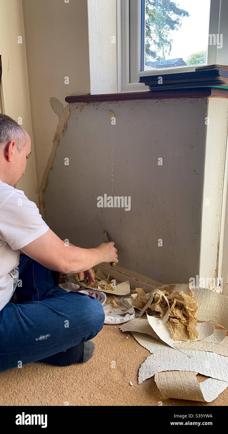 Un homme décapant le papier peint d'un mur pour redécorer. - Image de stock capturée avec un smartphone