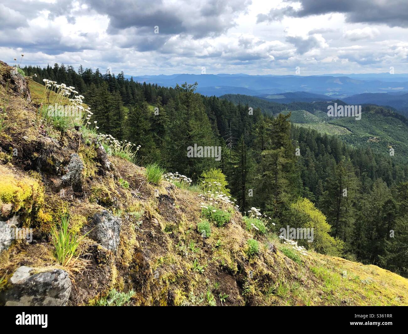 Vue depuis le sommet de Horse Rock Ridge dans la maison Sweet, Oregon, États-Unis. Banque D'Images