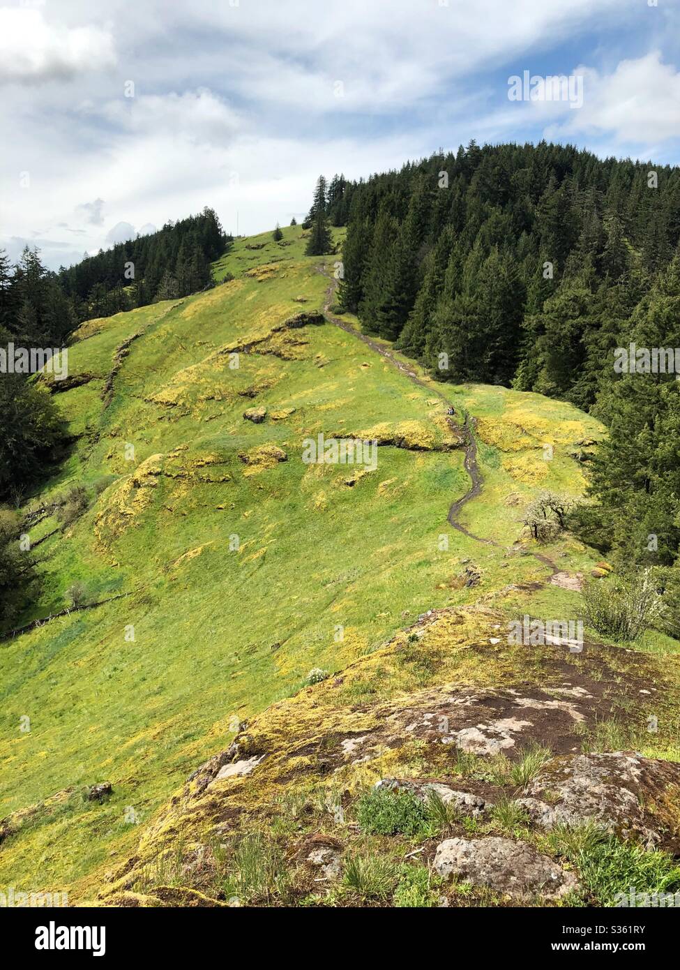 Le sentier vers le haut à cheval rock Ridge à Sweet home, Oregon, États-Unis. Banque D'Images