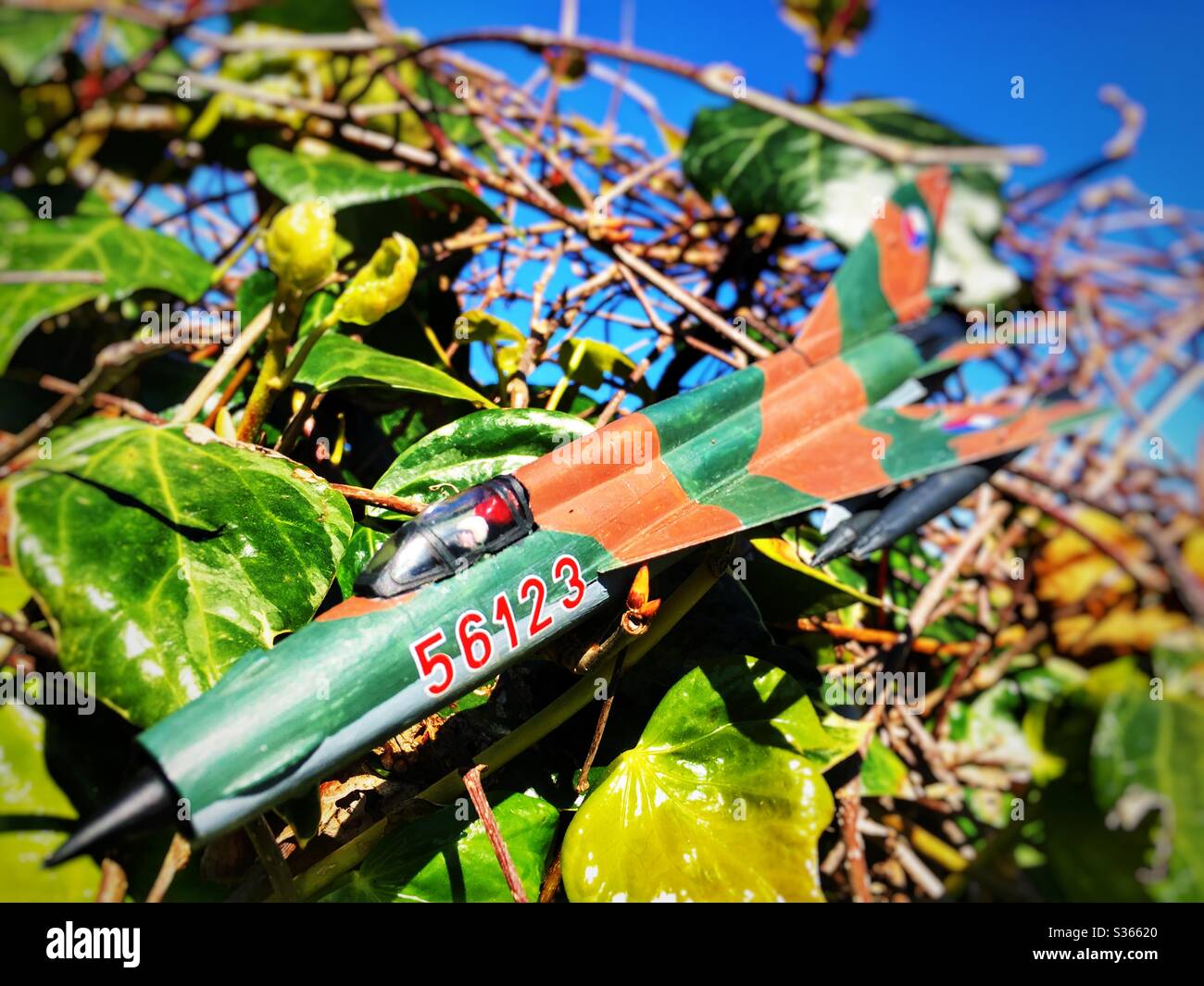 Jouet MIG-21 coincé dans une haie - Image de stock capturée avec un smartphone