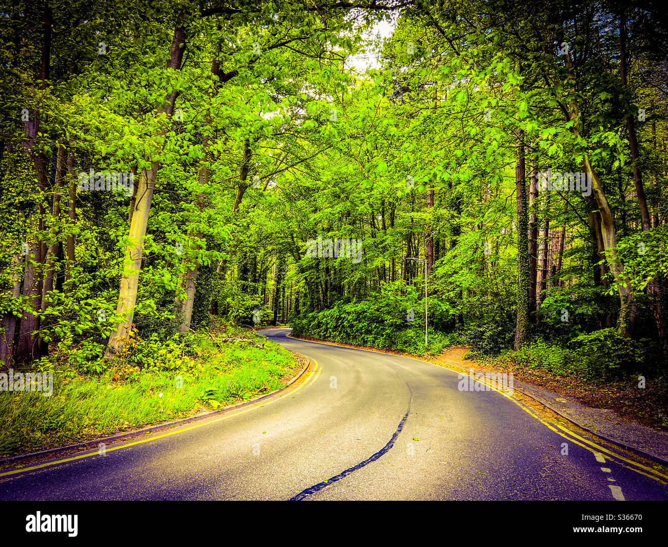 Routes - Image de stock capturée avec un smartphone