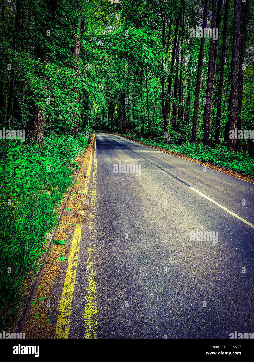 Routes - Image de stock capturée avec un smartphone