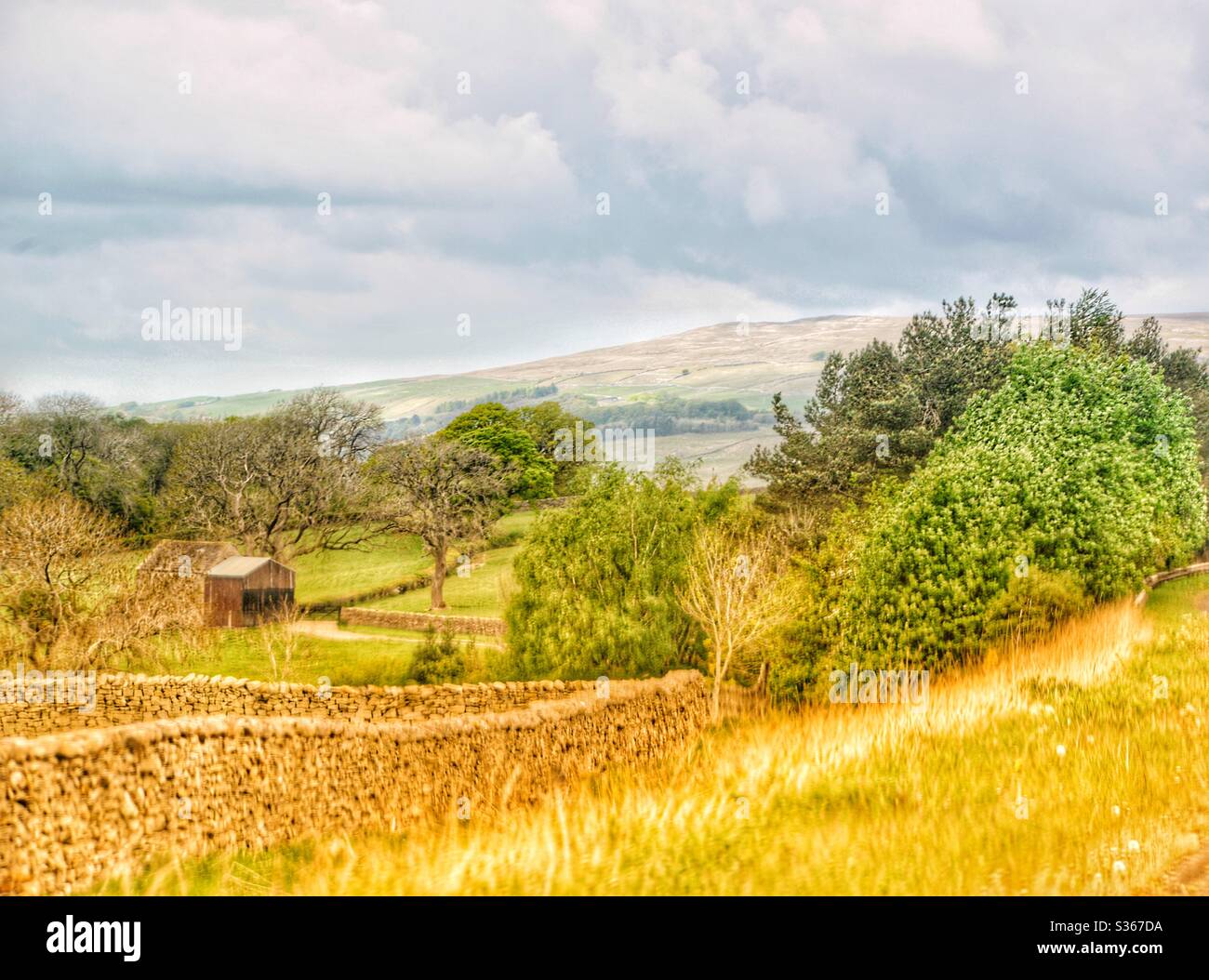 Cumbria campagne dans le Lake District Banque D'Images