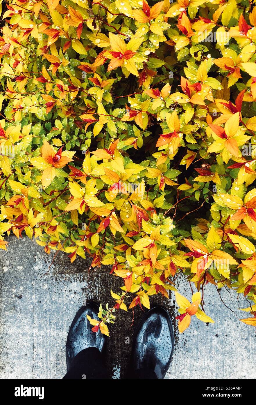 Le printemps est arrivé malgré la quarantaine du coronavirus Banque D'Images