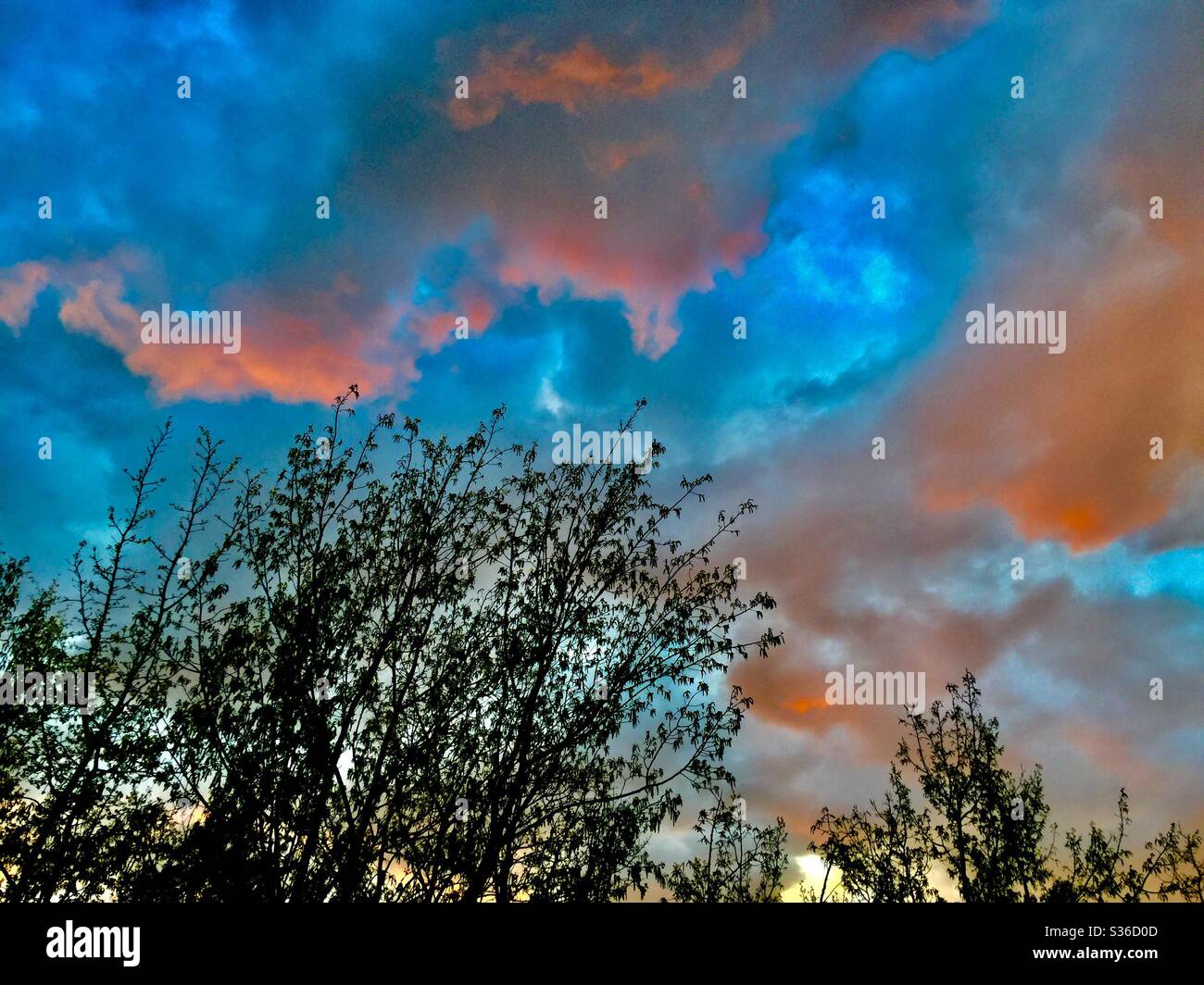 Calgary Sunset, le 18 mai 2020, Calgary (Alberta), Canada Banque D'Images