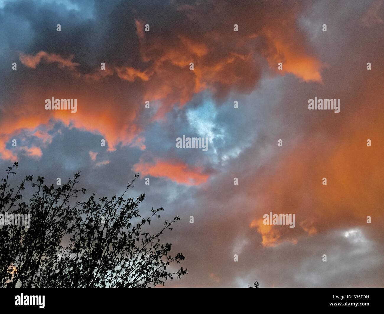 Calgary Sunset, le 18 mai 2020, Calgary (Alberta), Canada Banque D'Images