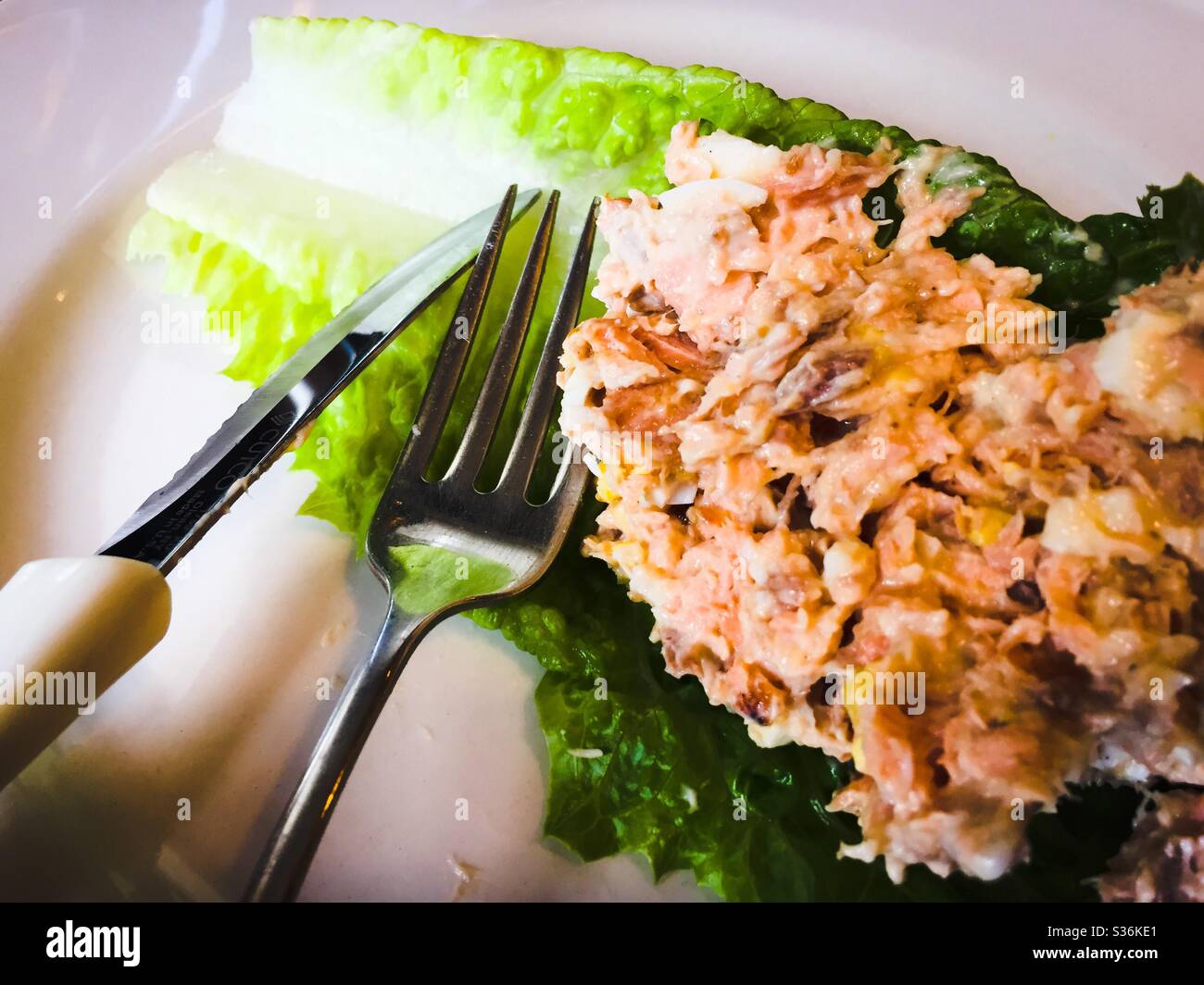 Salade de saumon sur feuille de laitue romaine. Banque D'Images