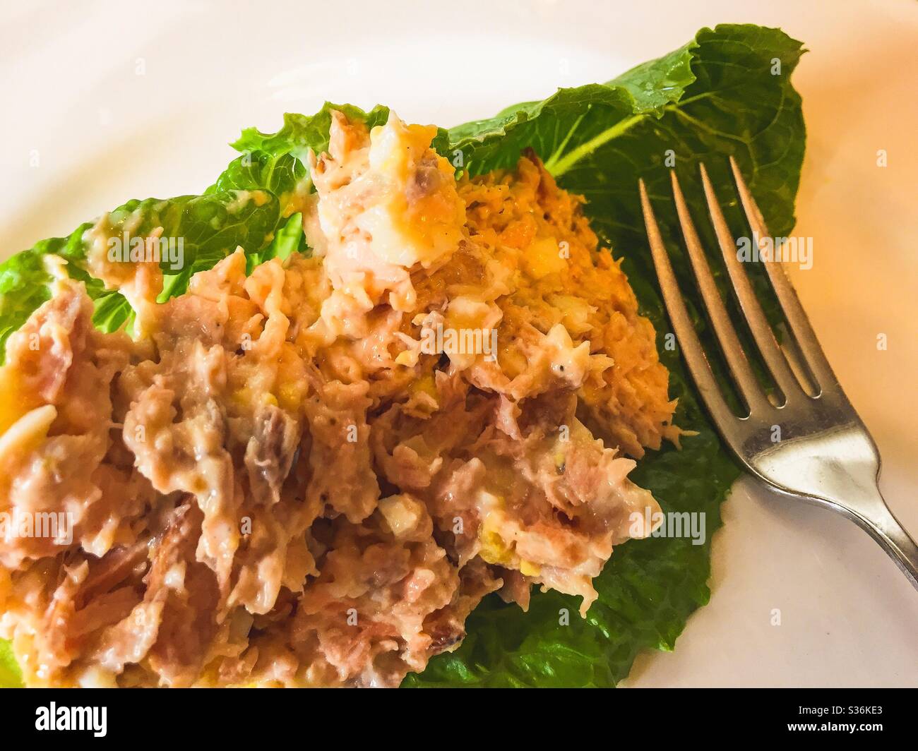 Salade de saumon sur feuille de laitue romaine. Banque D'Images