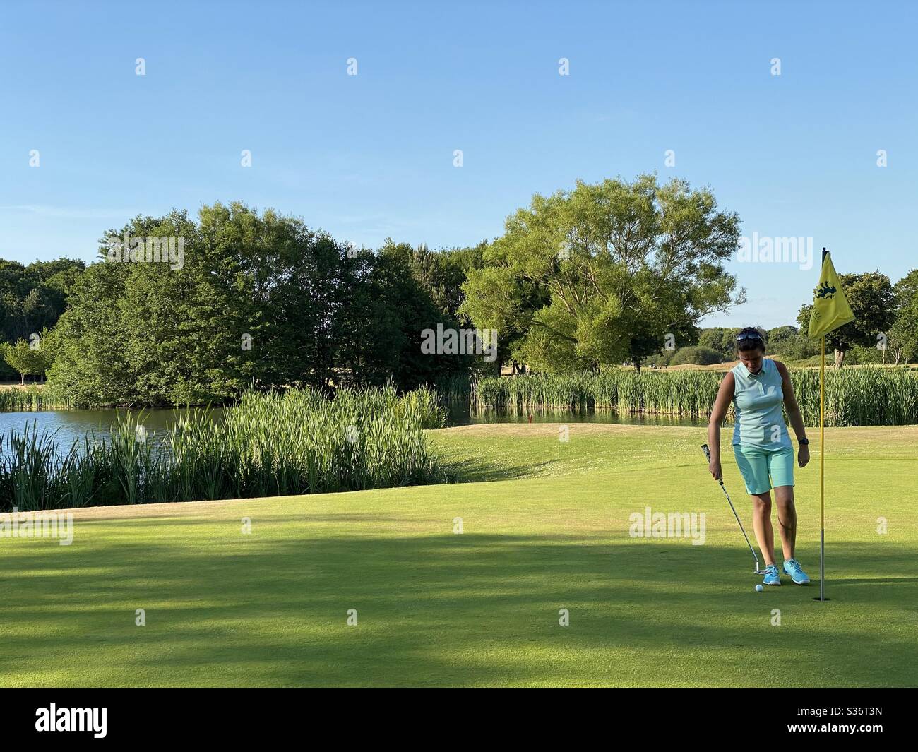 Une golfeuse de la prise de son ballon de golf en utilisant le dos du putter parce que c'est un gimme, pas besoin pour elle de putter car son tir dans le vert est juste au drapeau Banque D'Images