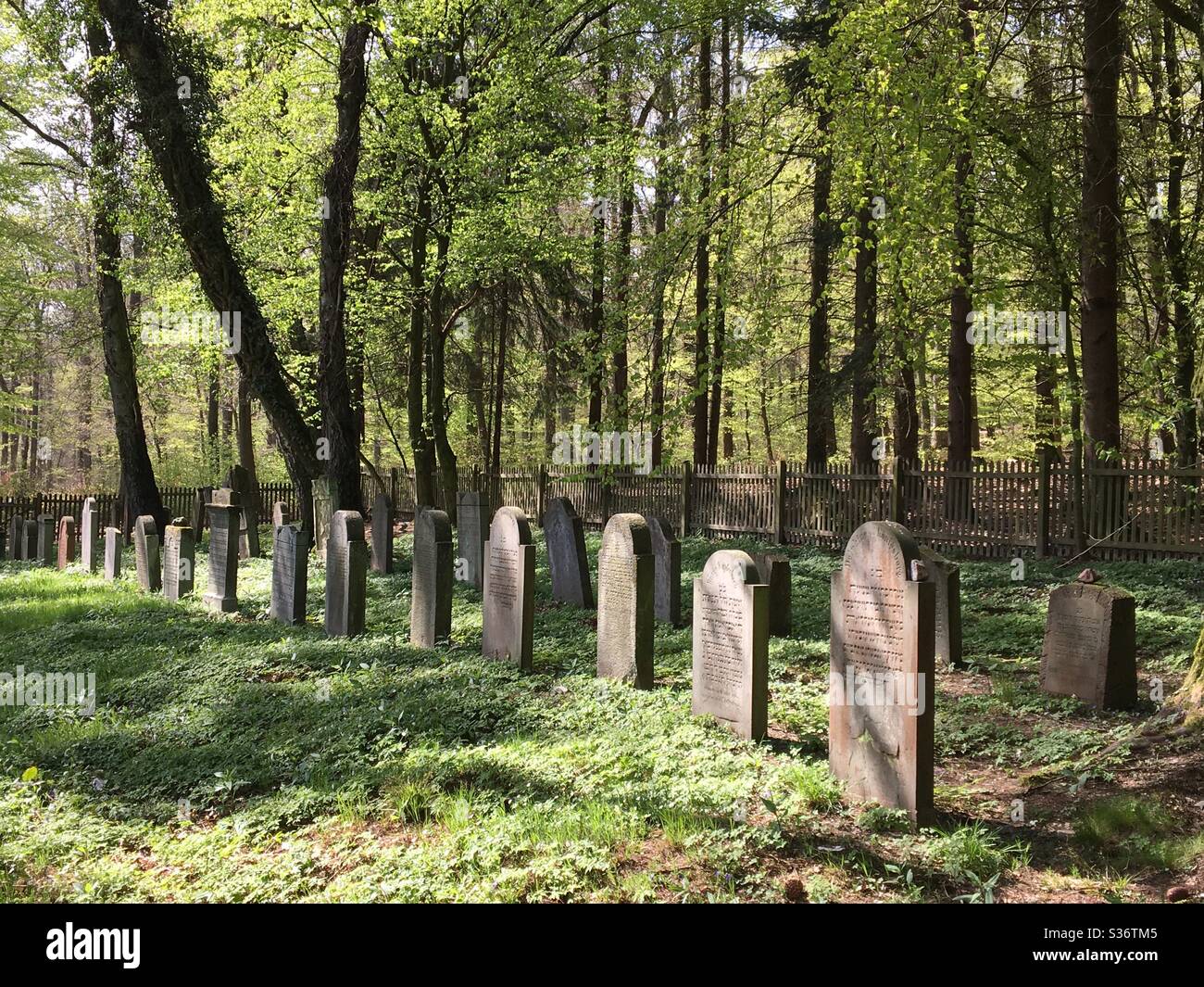 Ancien cimetière juif dans la forêt près de Kronberg im Taunus, Allemagne Banque D'Images