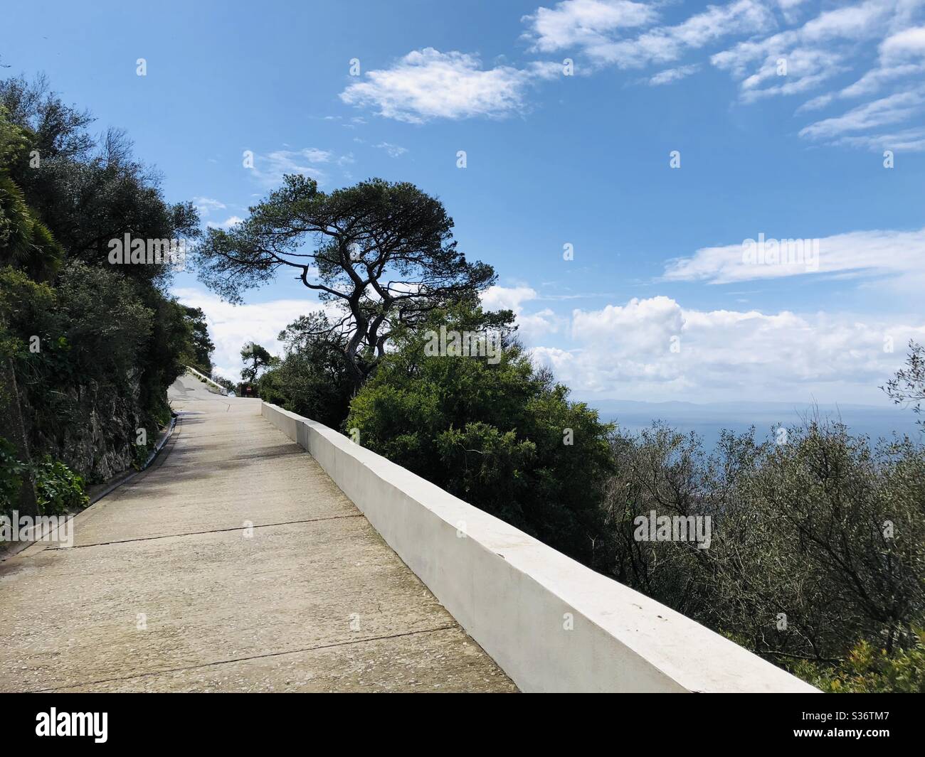 Route vide en montant sur le flanc d'une colline Banque D'Images