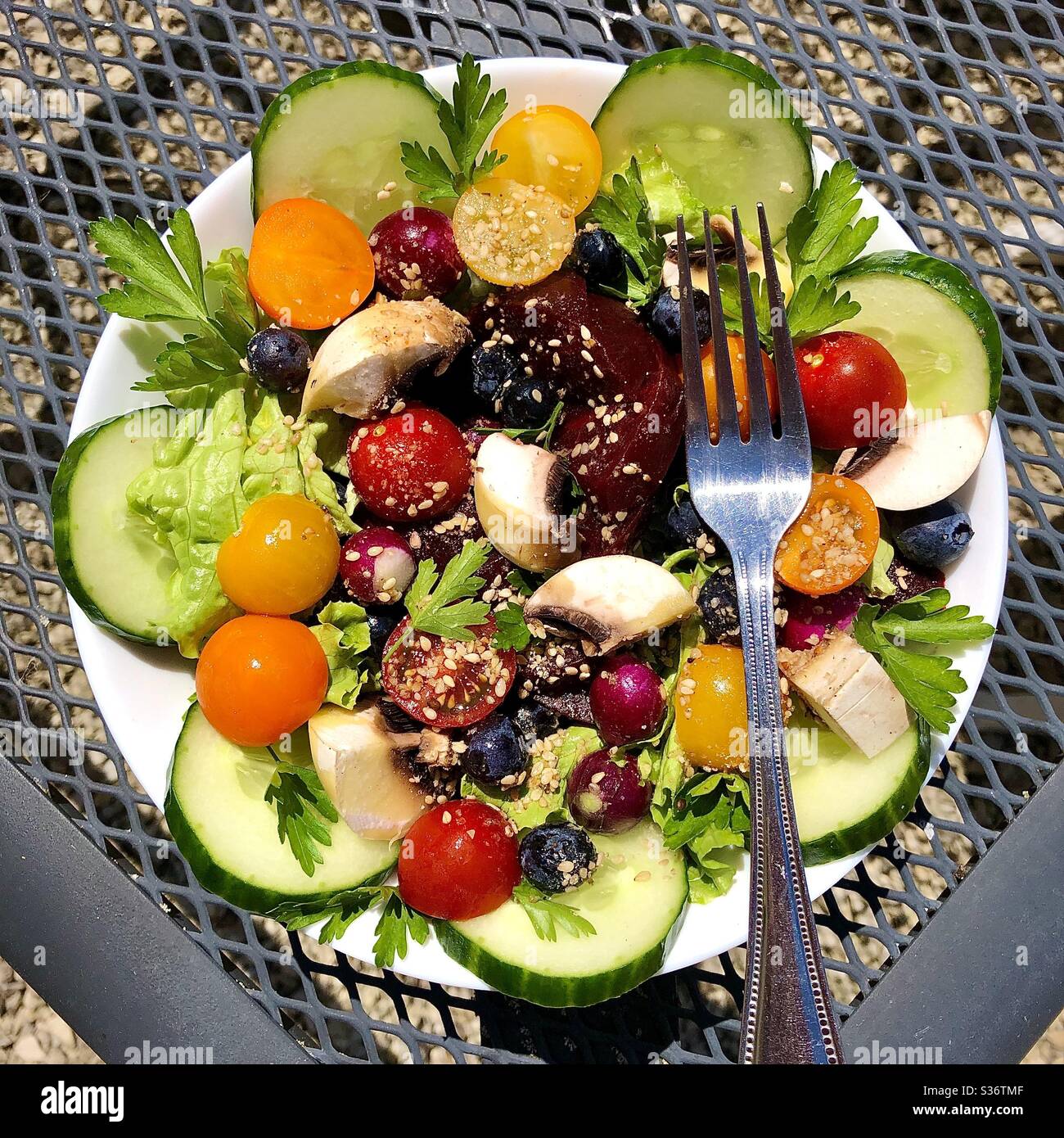 Déjeuner de salade sain à base de plantes. Banque D'Images