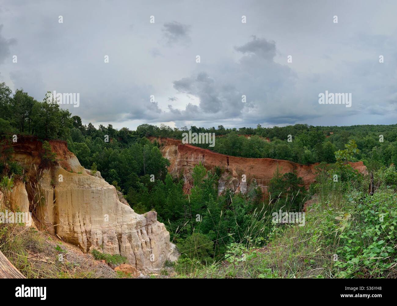 Providence Canyon, Géorgie Banque D'Images