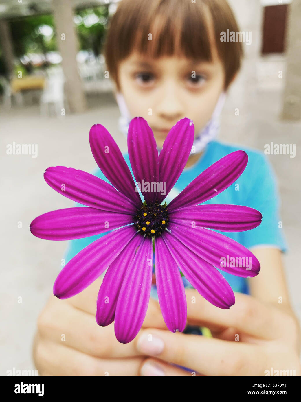 Enfant montrant une fleur violette. Banque D'Images