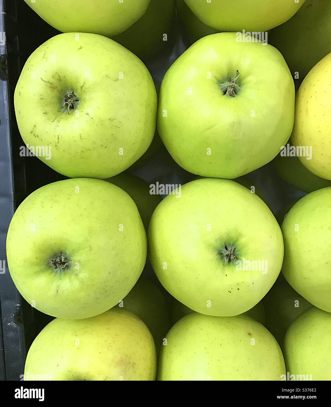 Pommes vertes - Image de stock capturée avec un smartphone