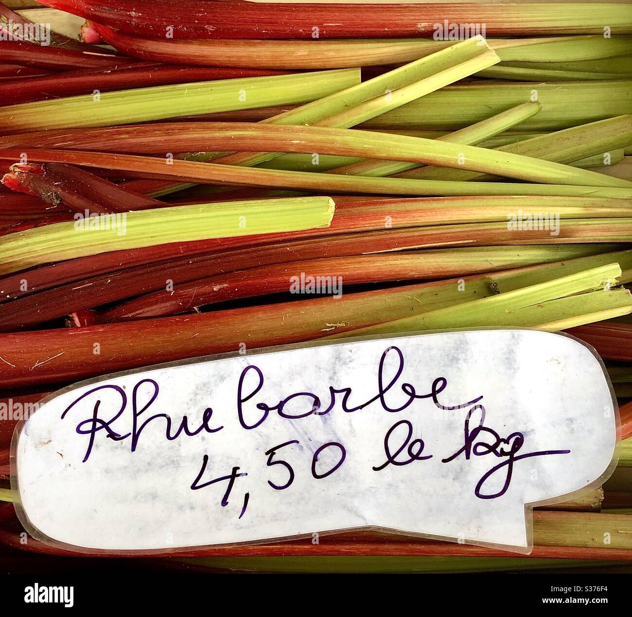 Bâtons de rhubarbe sur le marché, France. Banque D'Images