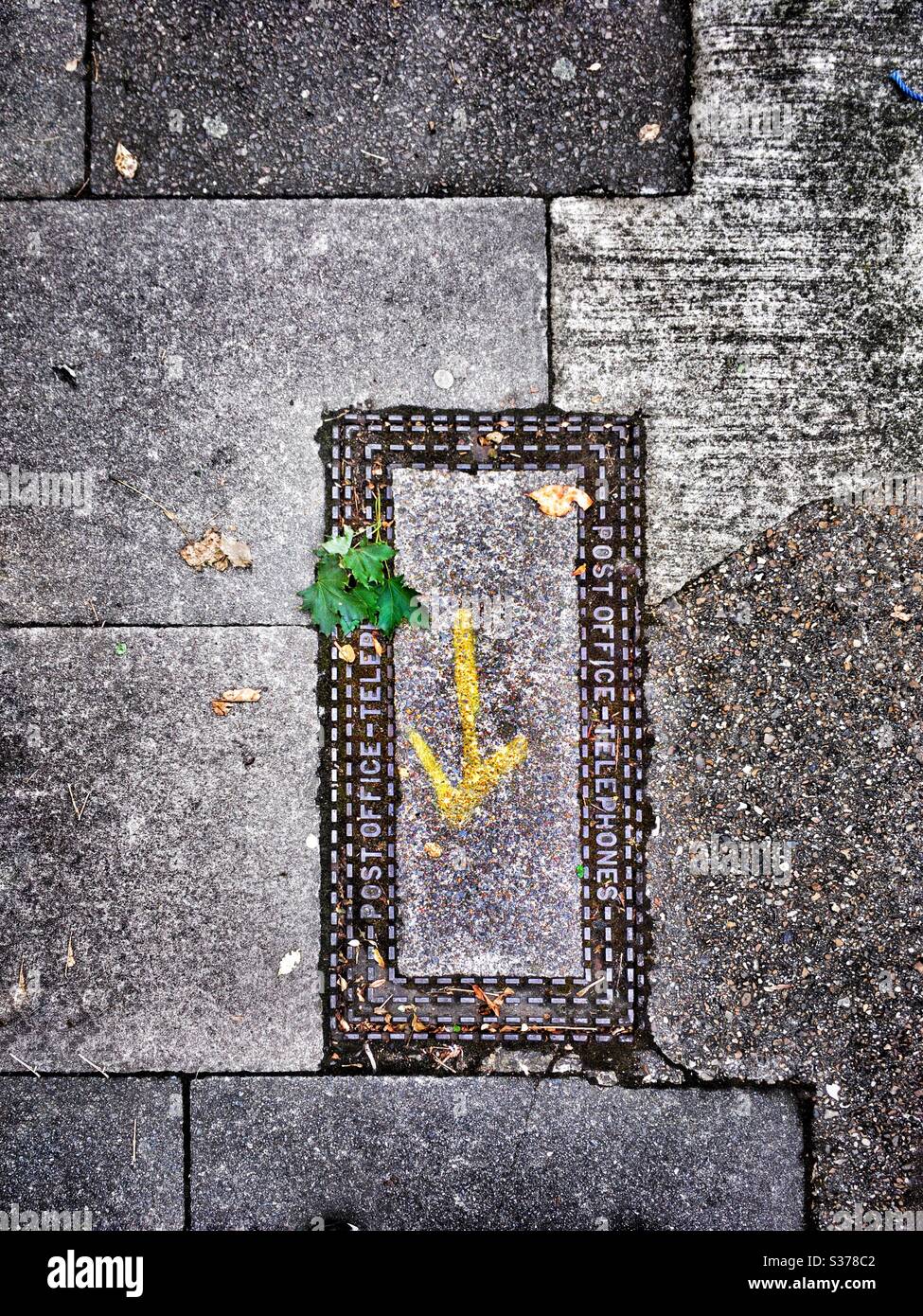 Une flèche jaune sur un trottoir de ville dans un cadre ornemental pointe mystérieusement vers quelque chose d'invisible. Une feuille verte se brise dans l'image. Un motif frappant de pavés entoure le châssis. Banque D'Images