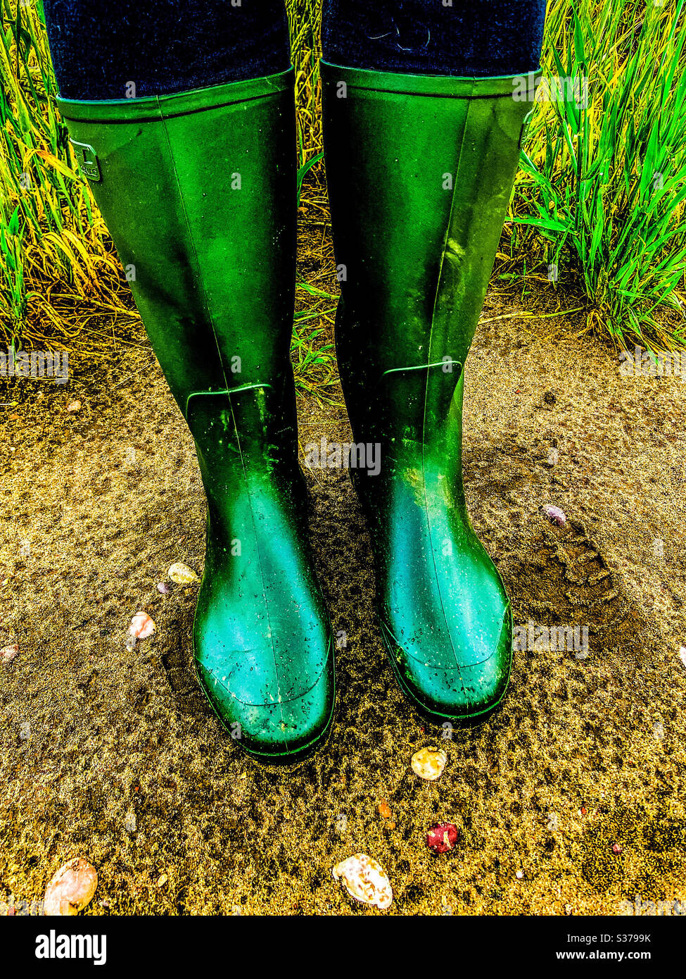 Promenades dans la campagne Banque D'Images
