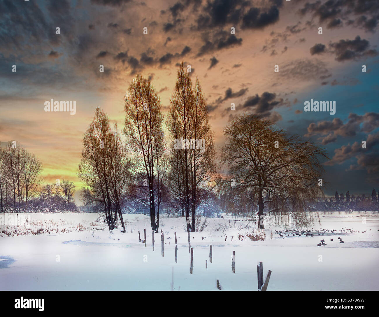 Scènes d’hiver - Image de stock capturée avec un smartphone