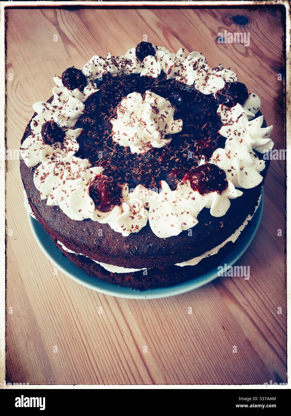 Gâteau au chocolat et à la crème Banque D'Images