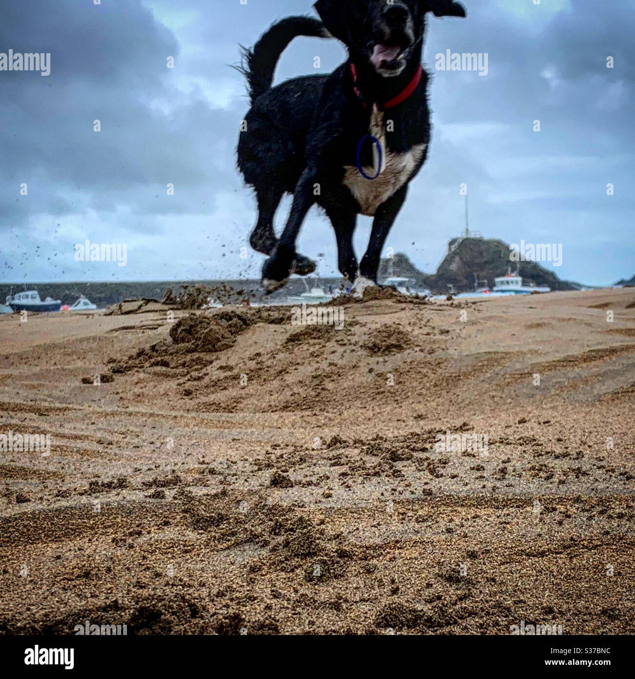 George sautant pour la joie sur le Barrel à la plage de Summerleaze à Bude, Cornwall. Banque D'Images