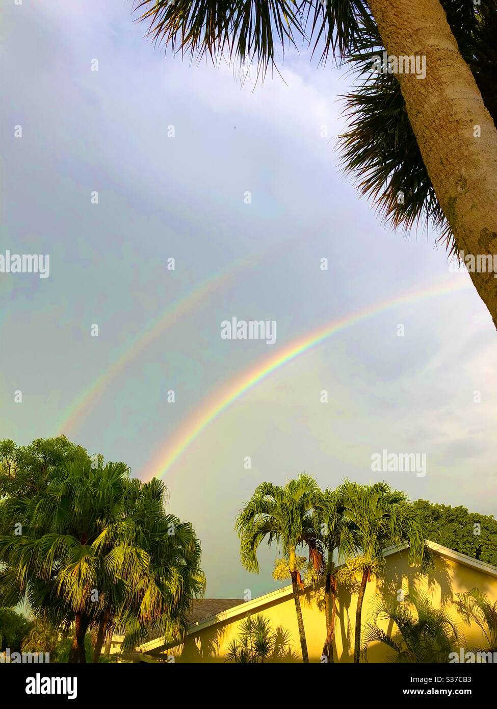 Un double arc-en-ciel sur un quartier après une pluie tropicale en Floride. Banque D'Images