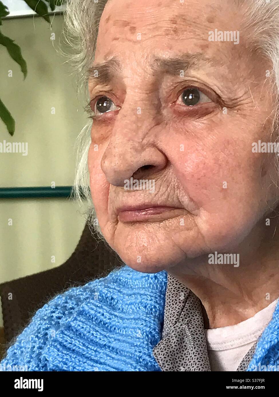 Une vieille dame qui regarde - Image de stock capturée avec un smartphone