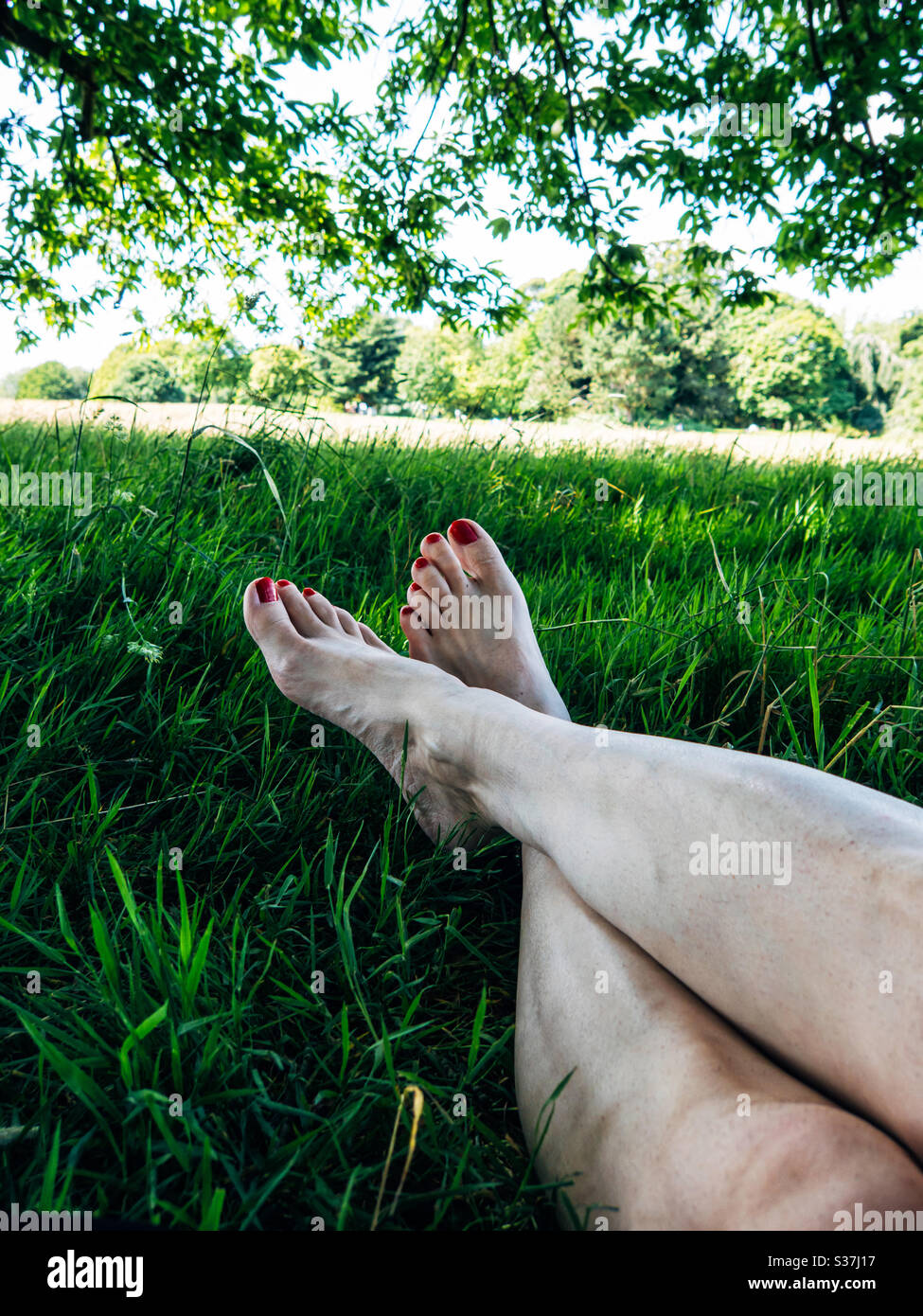 Jambes de femme se détendant dans un champ d'herbe Banque D'Images