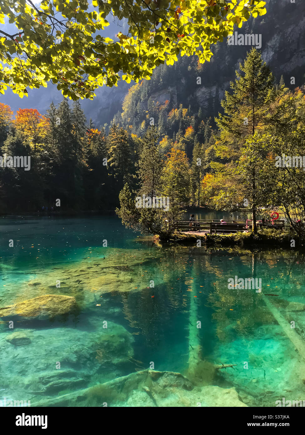 Blausee lake switzerland Banque de photographies et d'images à haute  résolution - Alamy