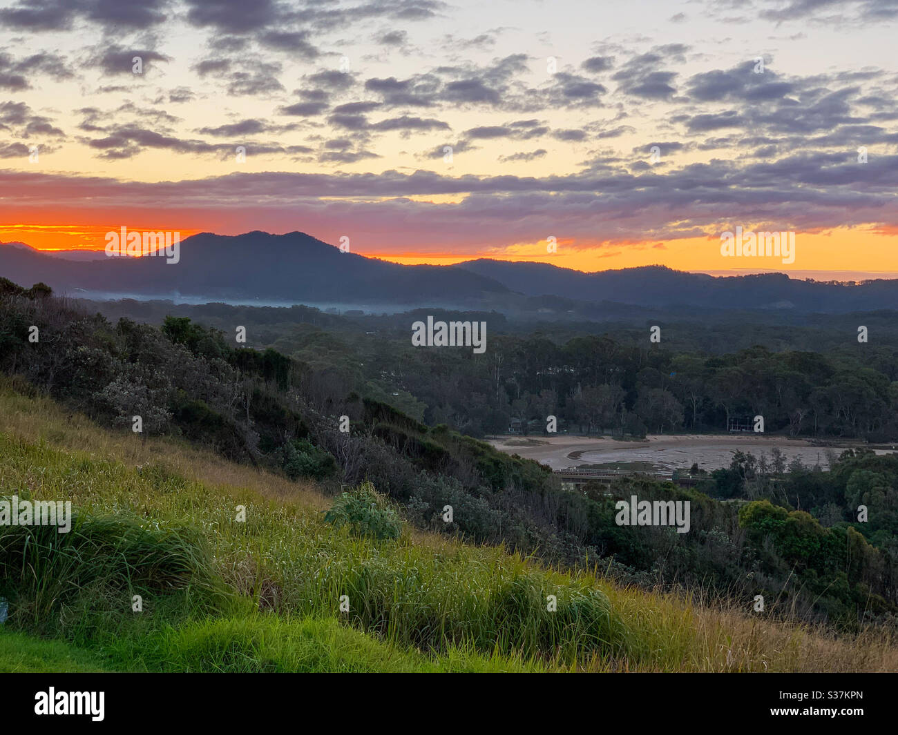 Coucher de soleil sur la côte est de l'Australie orangée et jaune derrière les collines avec des herbes au premier plan Banque D'Images